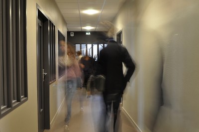 Lycée Enseignement Supérieur